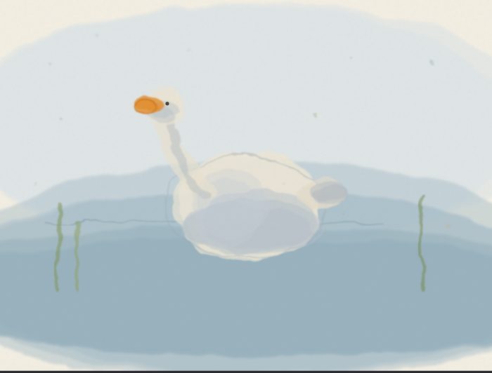 Goose on a water band (baseline)