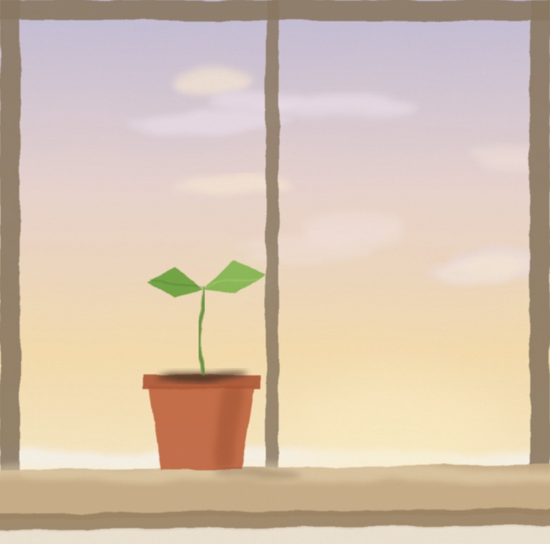 A small green seedling in a clay pot on a windowsill, with a pink and gold dawn sky behind it.