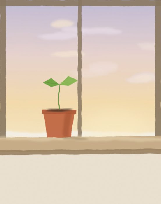 First Light