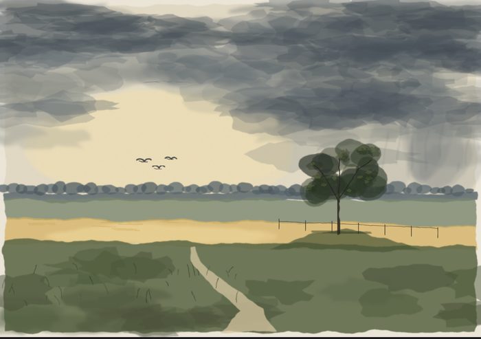 Storm over the fields