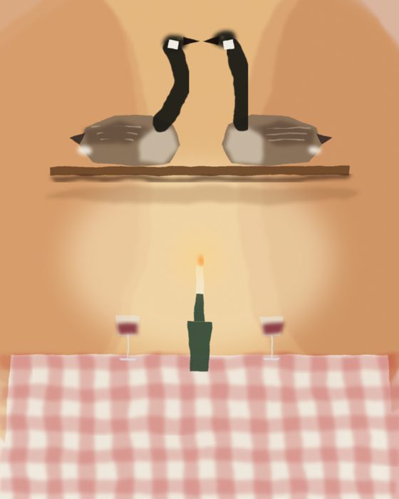 Two Geese Above the Table